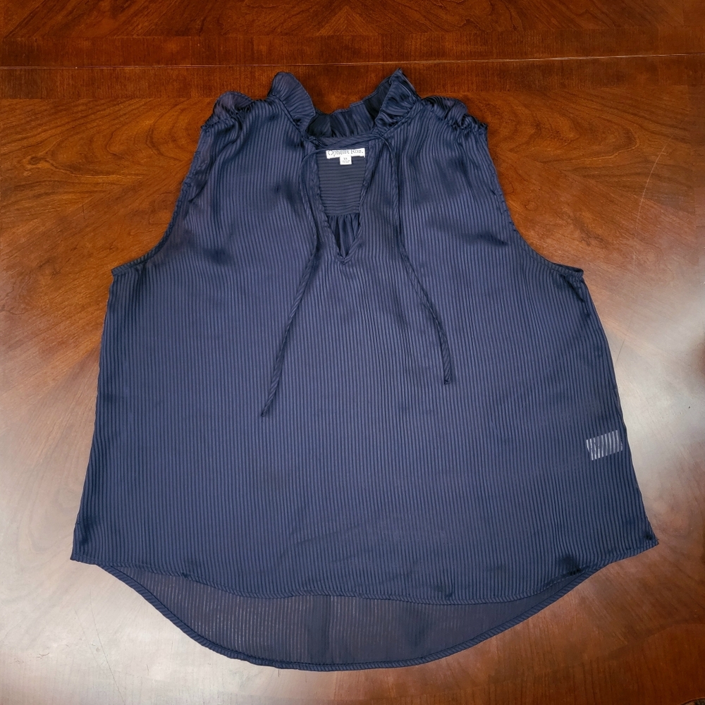 1x Ophelia Roe Pin Stripe Sheer Ruffle Collar Navy Top